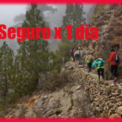 Seguro x 1 dia