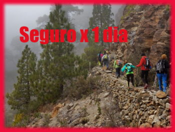 Seguro x 1 dia